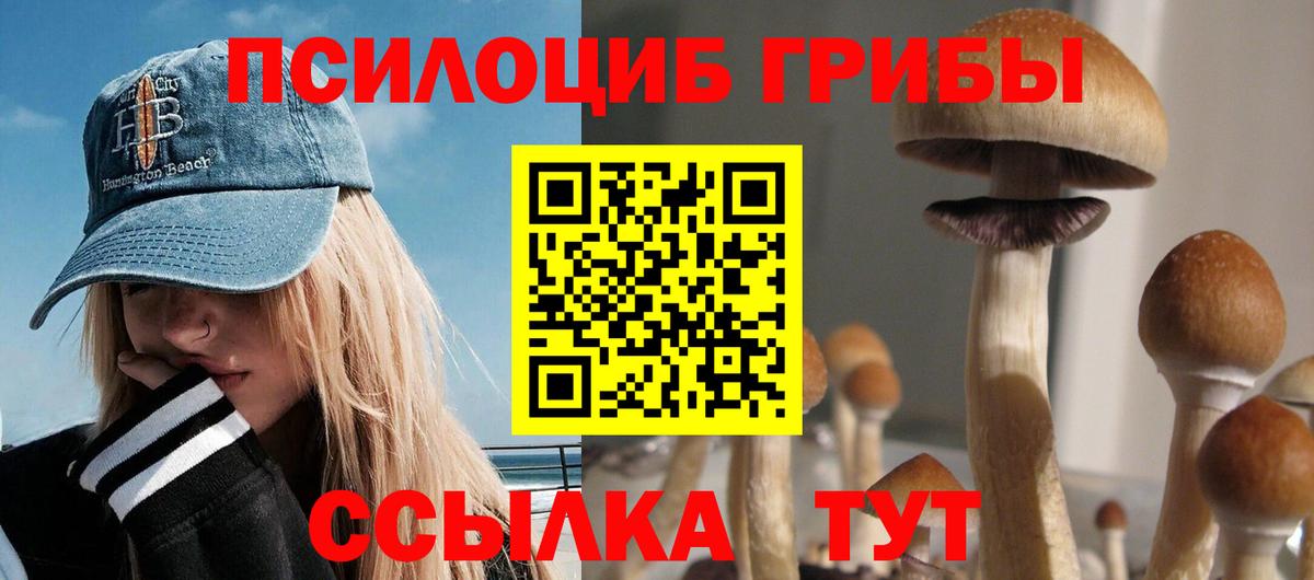 Галлюциногенные грибы прущие грибы  Галлюциногенные грибы Psilocybe  Касимов  Вход с VPN 